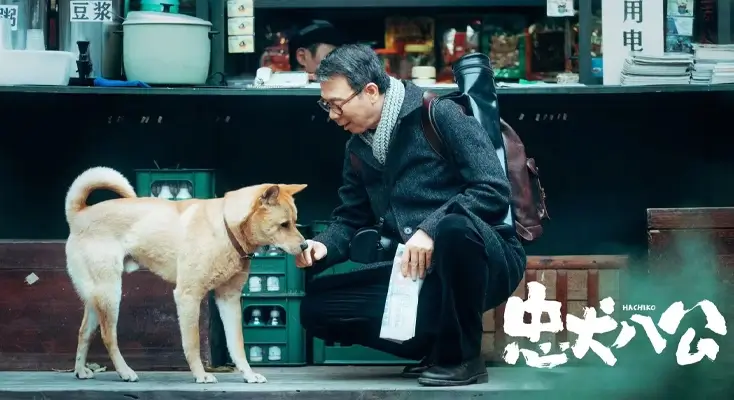 在国外手机看视频地域限制怎么办图解