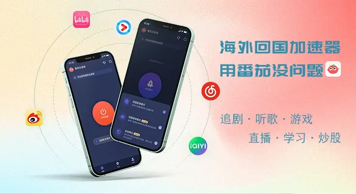 归雁加速器google play